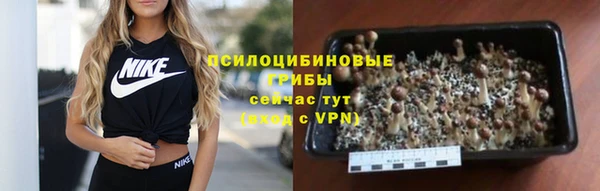 шишки Алексеевка