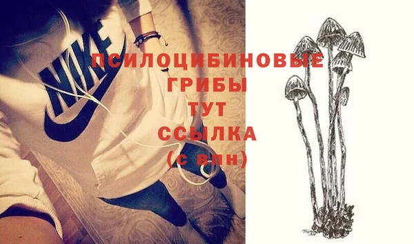 шишки Алексеевка