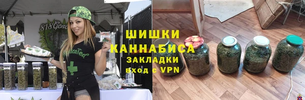 ГАЛЛЮЦИНОГЕННЫЕ ГРИБЫ Алексин