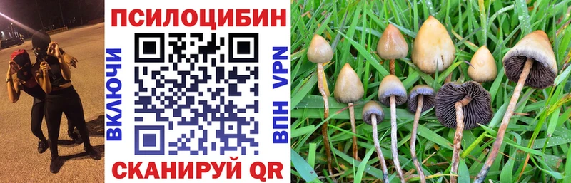 Псилоцибиновые грибы мухоморы  это телеграм  Усть-Илимск 