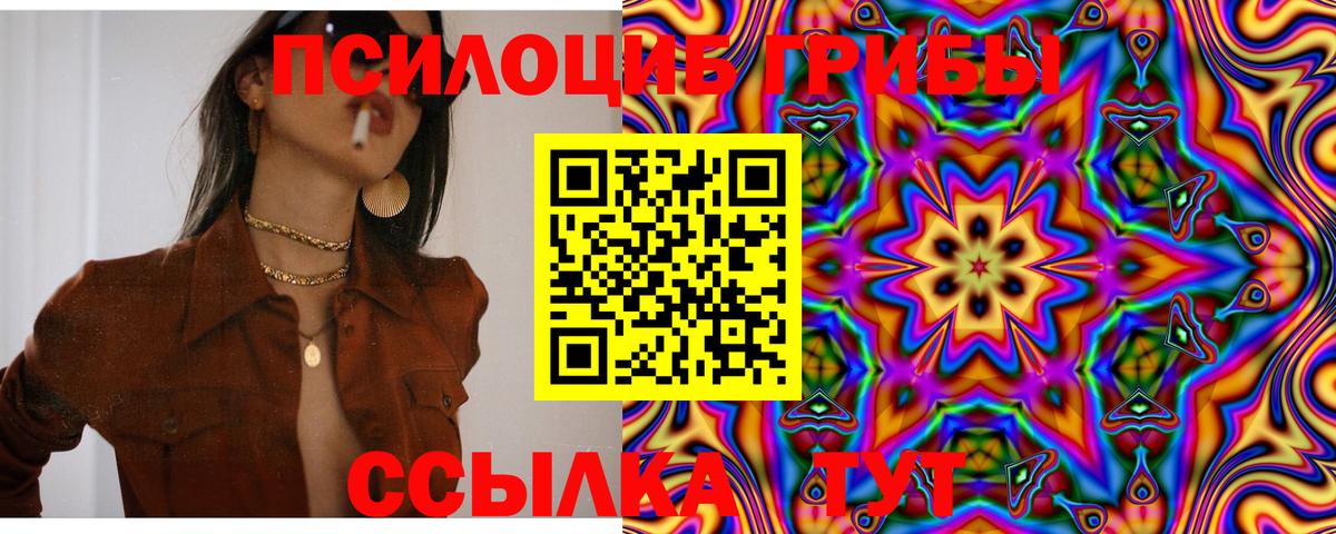 Псилоцибиновые грибы Cubensis Усть-Илимск