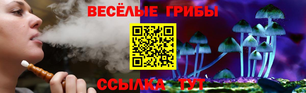 Усть-Илимск  Псилоцибиновые грибы MAGIC MUSHROOMS  сколько стоит  Галлюциногенные грибы Cubensis  Вход с VPN 
